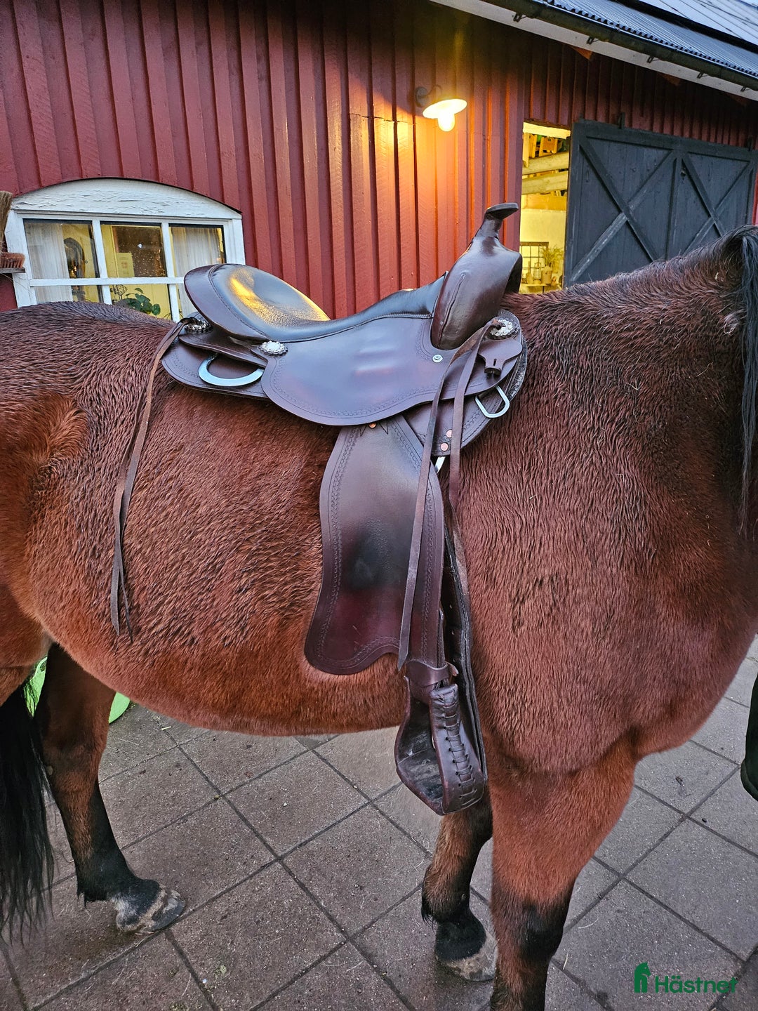 Sadlar hästutrustning till salu: Bomlös westernsadeln kallblod i Hillared - Annons 1