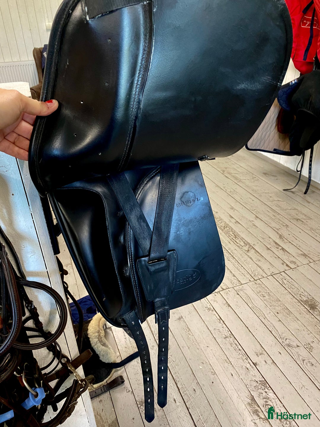 Sadlar hästutrustning till salu: Prestige Modena  i Värnamo - Annons 3