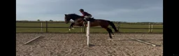  stallplats finnes: Stallplats / lösdrift sökes utanför Malmö - Annons 1