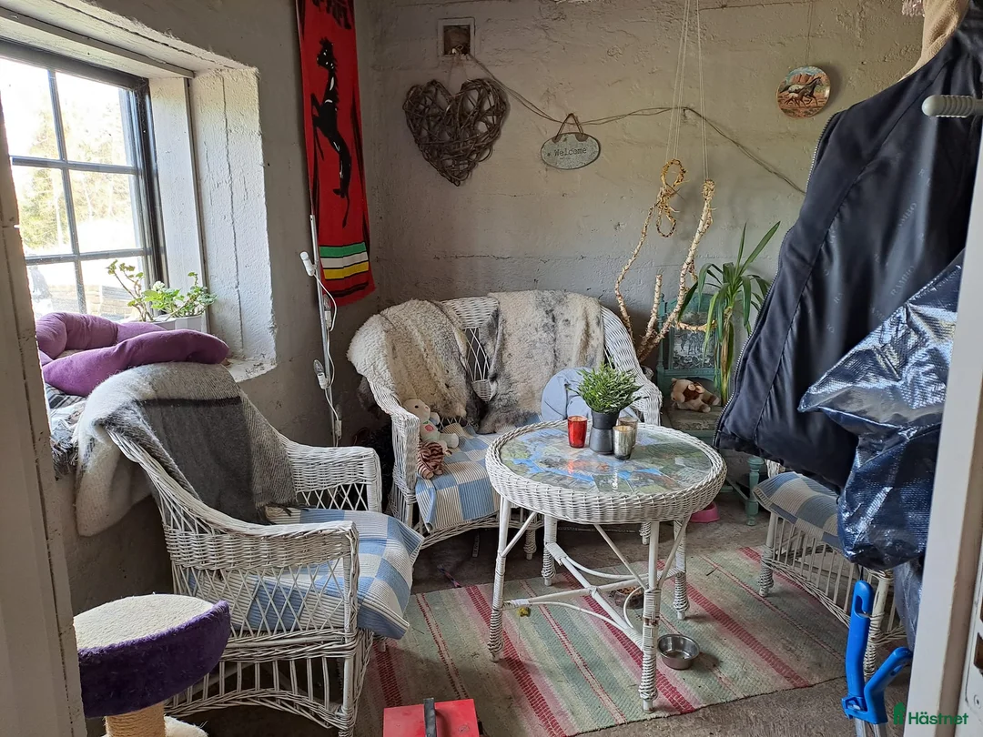  stallplats finnes: Kollektiv eller Service Adolfsbergs stallet i Bro - Annons 13