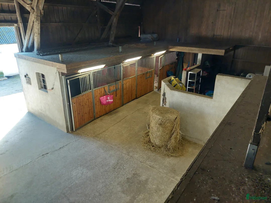  stallplats finnes: Boxplatser uthyres  i Staffanstorp - Annons 3