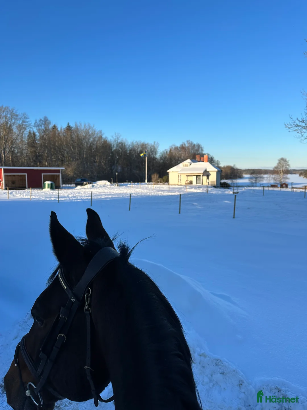  stallplats finnes: Stall uthyres!  i Huddinge - Annons 4