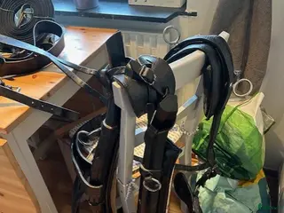 Körselar körning till salu: Loksele, Baksele, tömmar komplett till Fjording - Annons 18