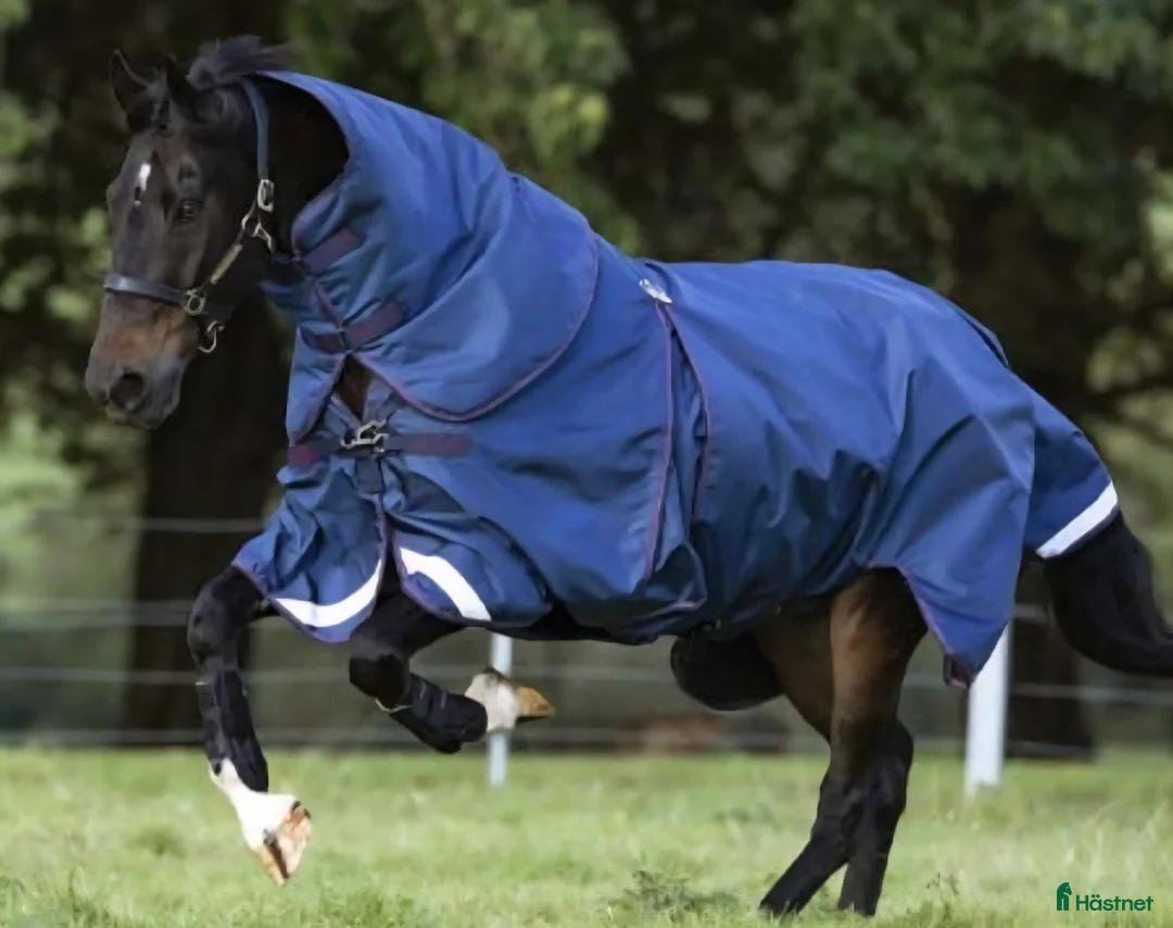Täcken hästutrustning till salu: Rambo Optimo + extra liner i Blentarp - Annons 1