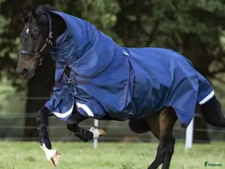 Täcken hästutrustning Rambo Optimo + extra liner i Blentarp - Annons 8