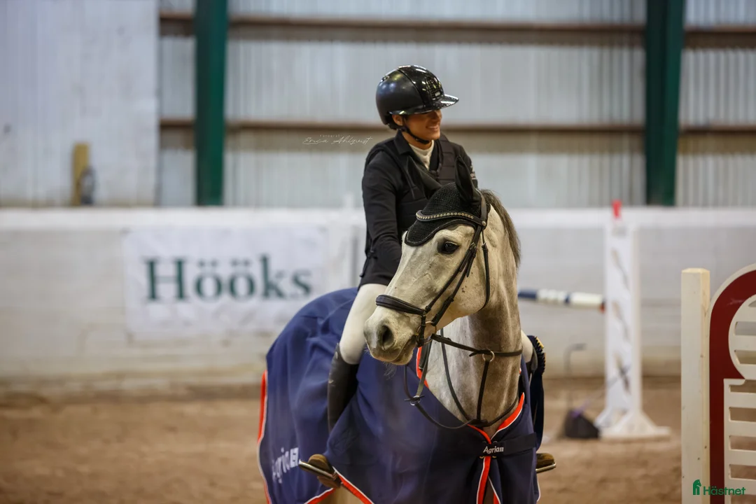 Galleribild {{count}}