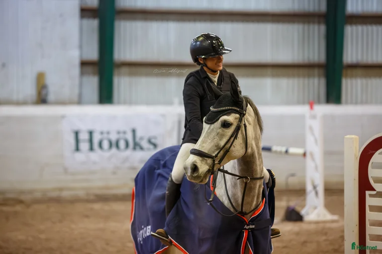 Galleribild {{count}}