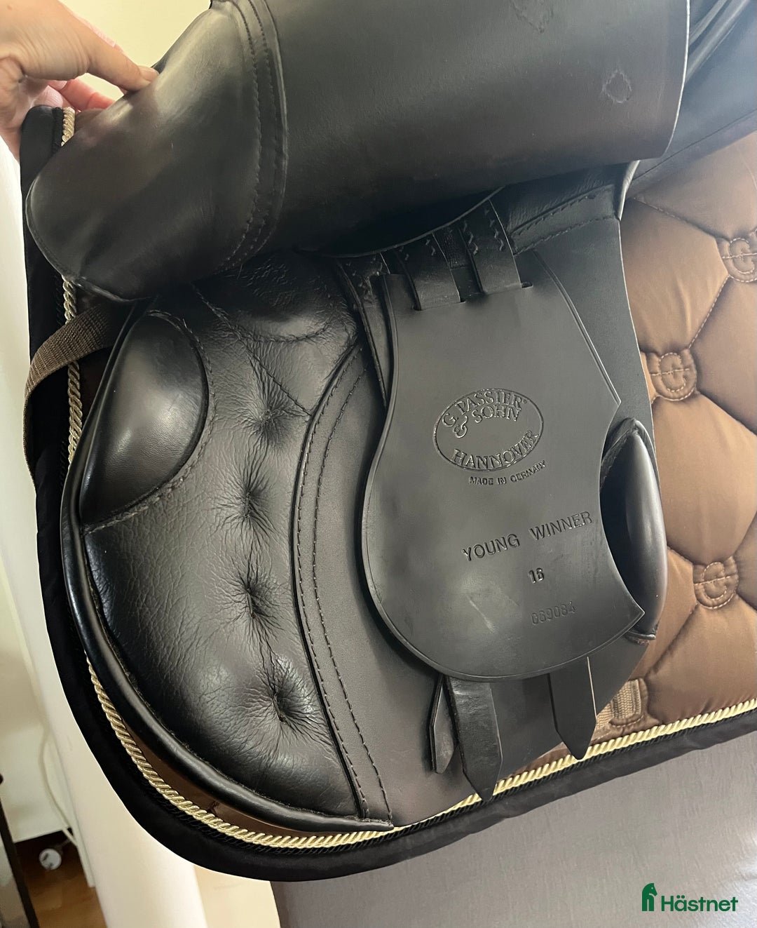 Sadlar hästutrustning till salu: Passier Young winner i Malmö - Annons 2