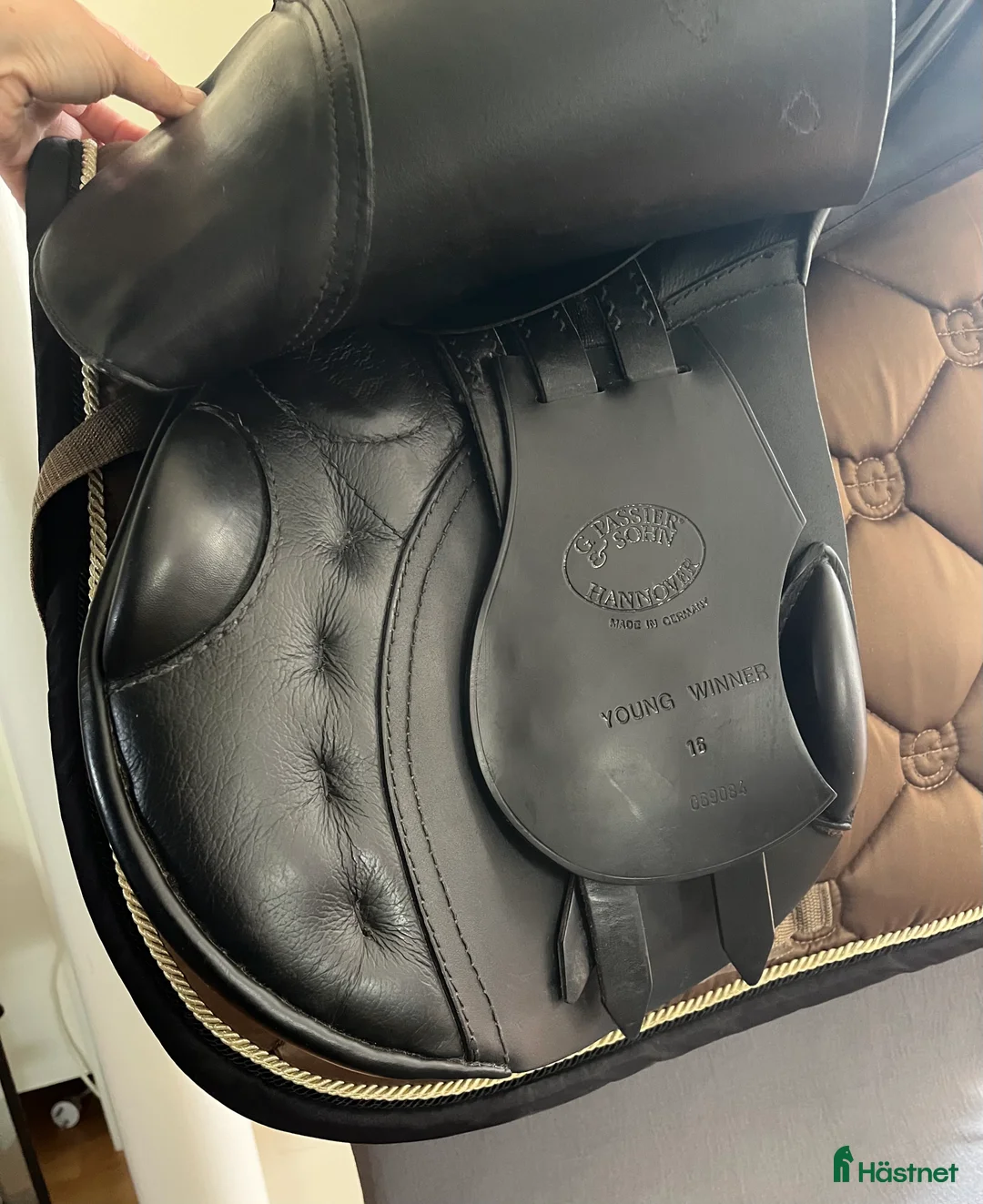 Sadlar hästutrustning till salu: Passier Young winner i Malmö - Annons 2
