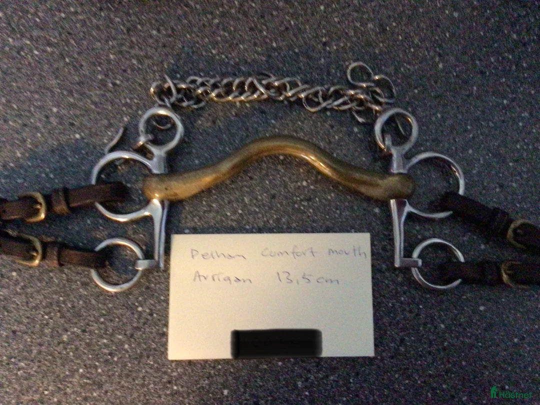 Bett hästutrustning till salu: Sprenger pelham 13,5 cm - Annons 1