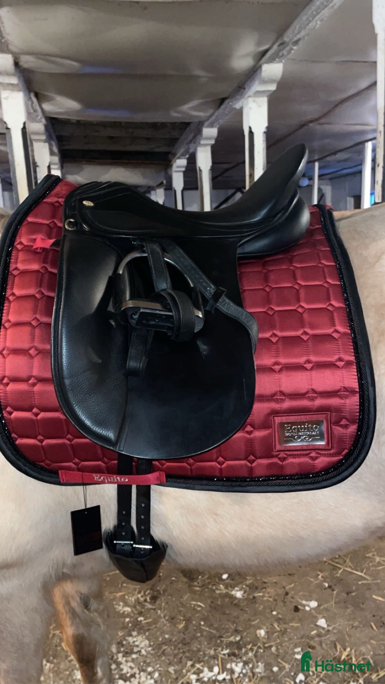 Schabrak &amp; Vojlockar hästutrustning till salu: Rött equito dressyr schabrak  i Norrtälje - Annons 4