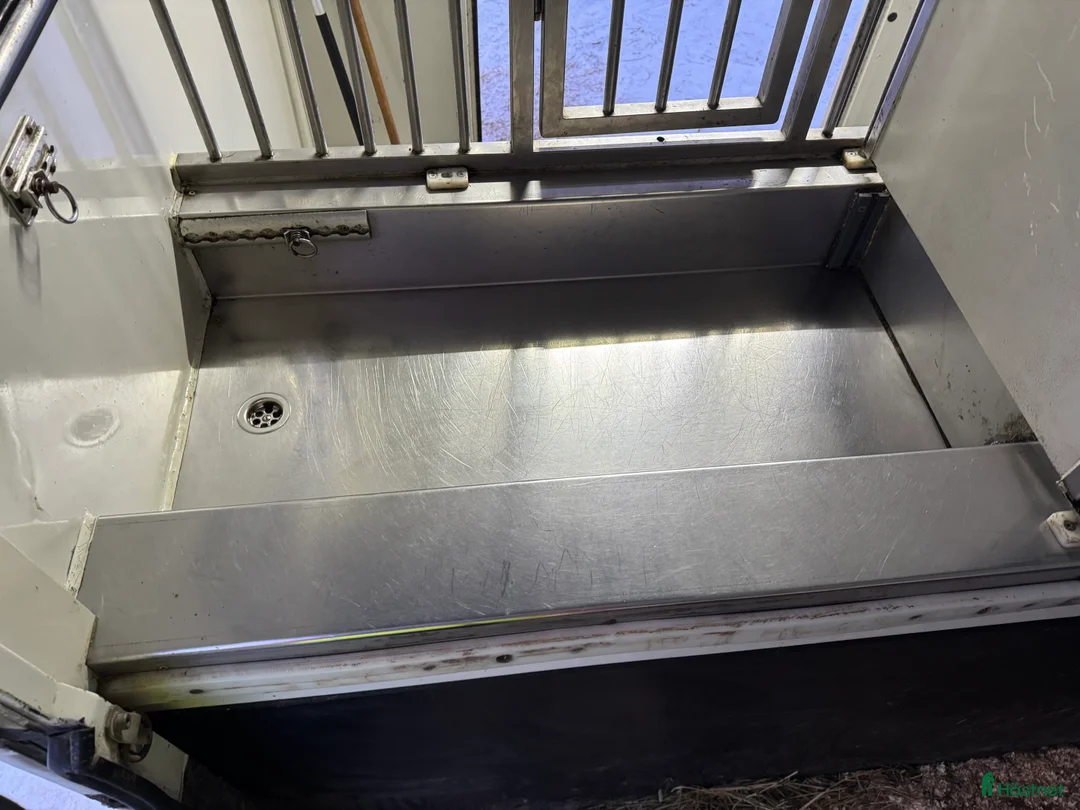 Hästlastbilar  fordon & transport till salu: RENAULT MASTER AMELINE 3 sits 2017 Nyservad! - Annons 18