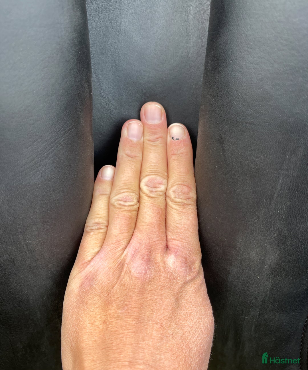 Sadlar hästutrustning till salu: 🔆SANTA CRUZ ARIEL - UG system🔆 i Gällstad - Annons 8