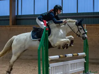 hästar Sockersöt hopponny i Degerhamn - Annons 13