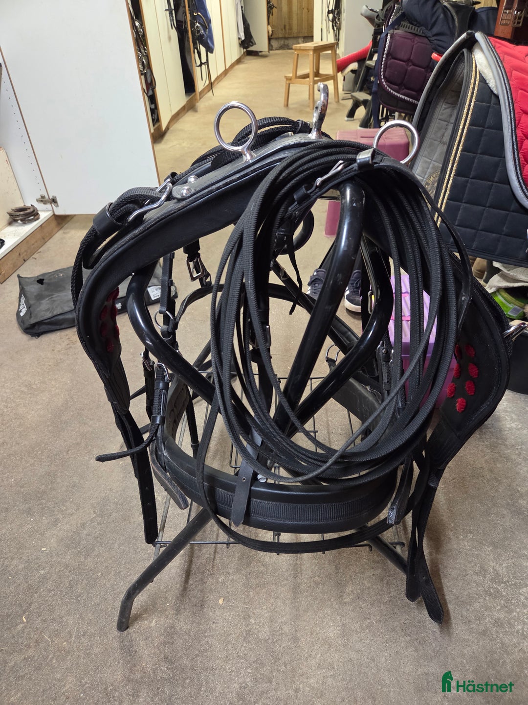 Körselar körning till salu: Ny bröstsele med baksele +huvudlag i Krylbo - Annons 2