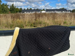 Täcken hästutrustning till salu: Märkestäcken tillsalu Kentucky, Kingsland, mfl i Kristianstad - Annons 8