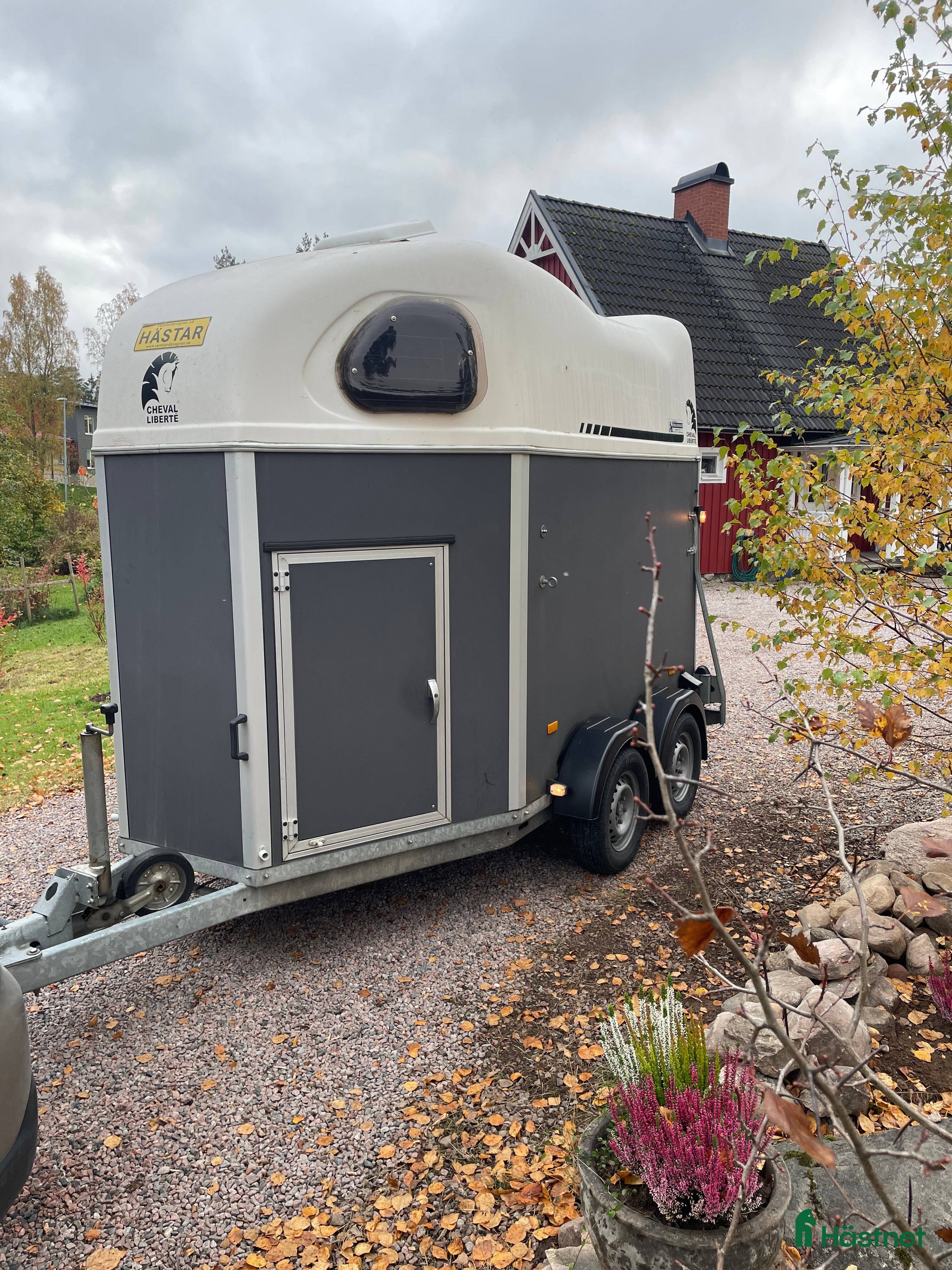 Hästtransporter  fordon & transport till salu: Välvårdad Cheval Liberte Gold i Skattkärr - Annons 16