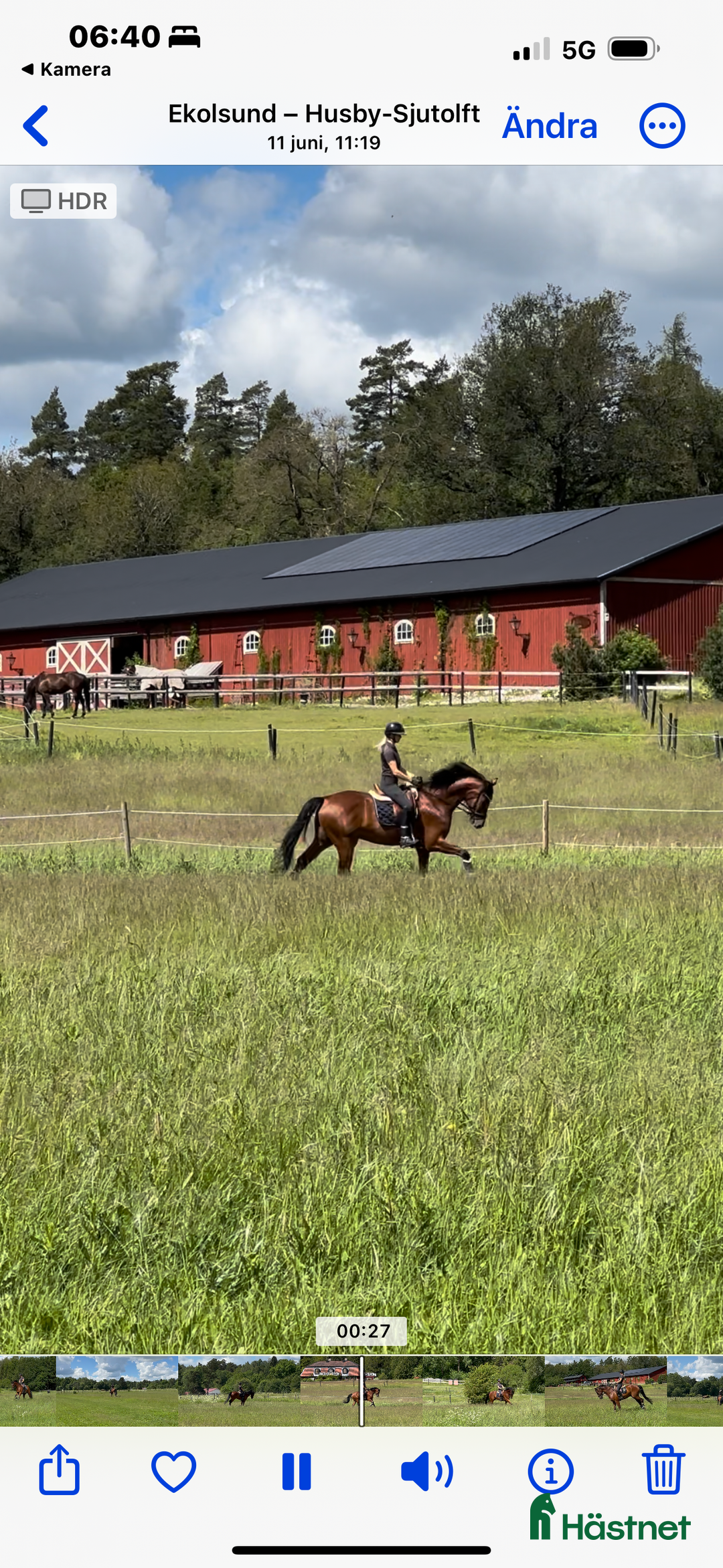 hästjobb finnes: Helgjobb på ett professionellt  dressyrstall i Ekolsund - Annons 4