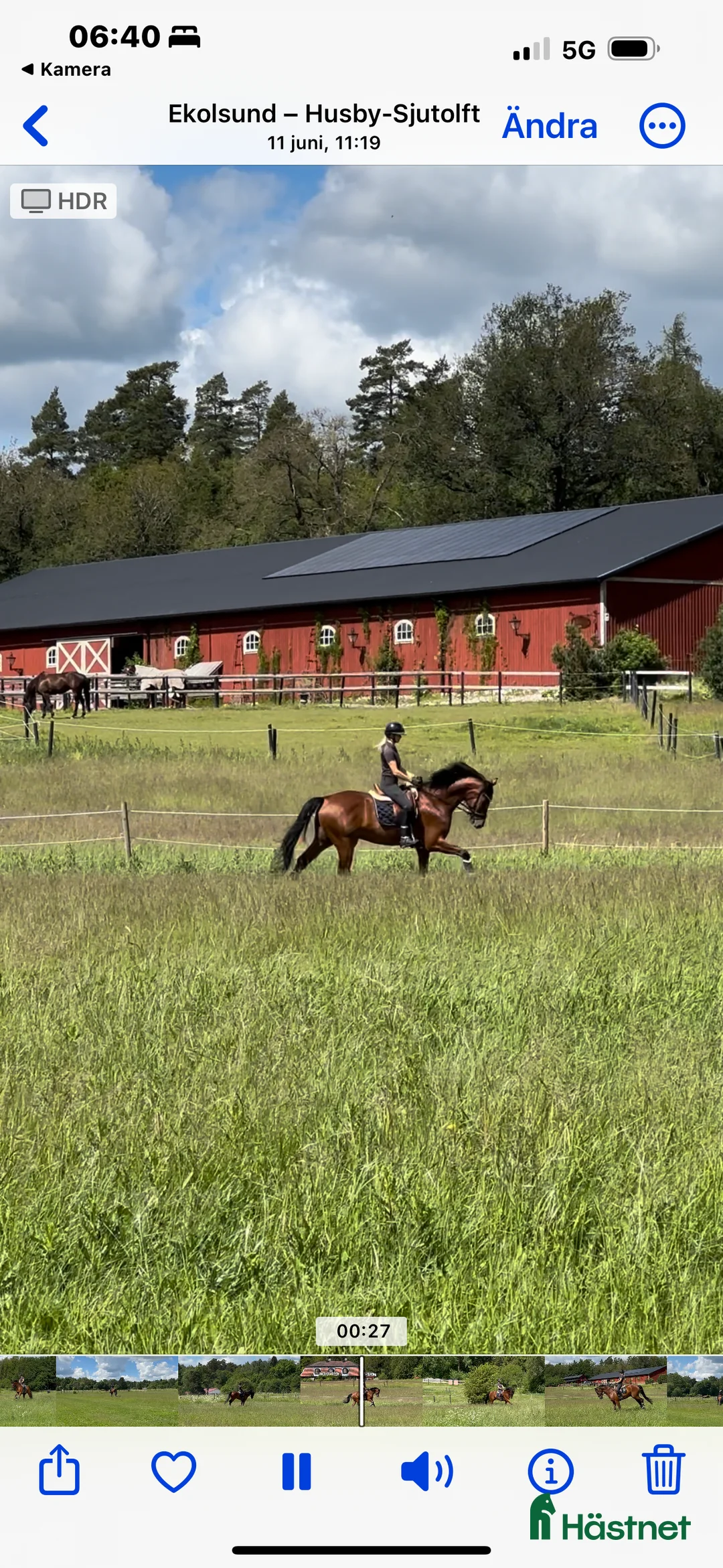 hästjobb finnes: Helgjobb på ett professionellt  dressyrstall i Ekolsund - Annons 4