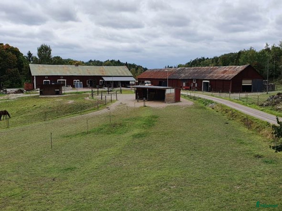  stallplats finnes: Lediga platser på Ytterstene Gård i Vagnhärad i Vagnhärad - Annons 4