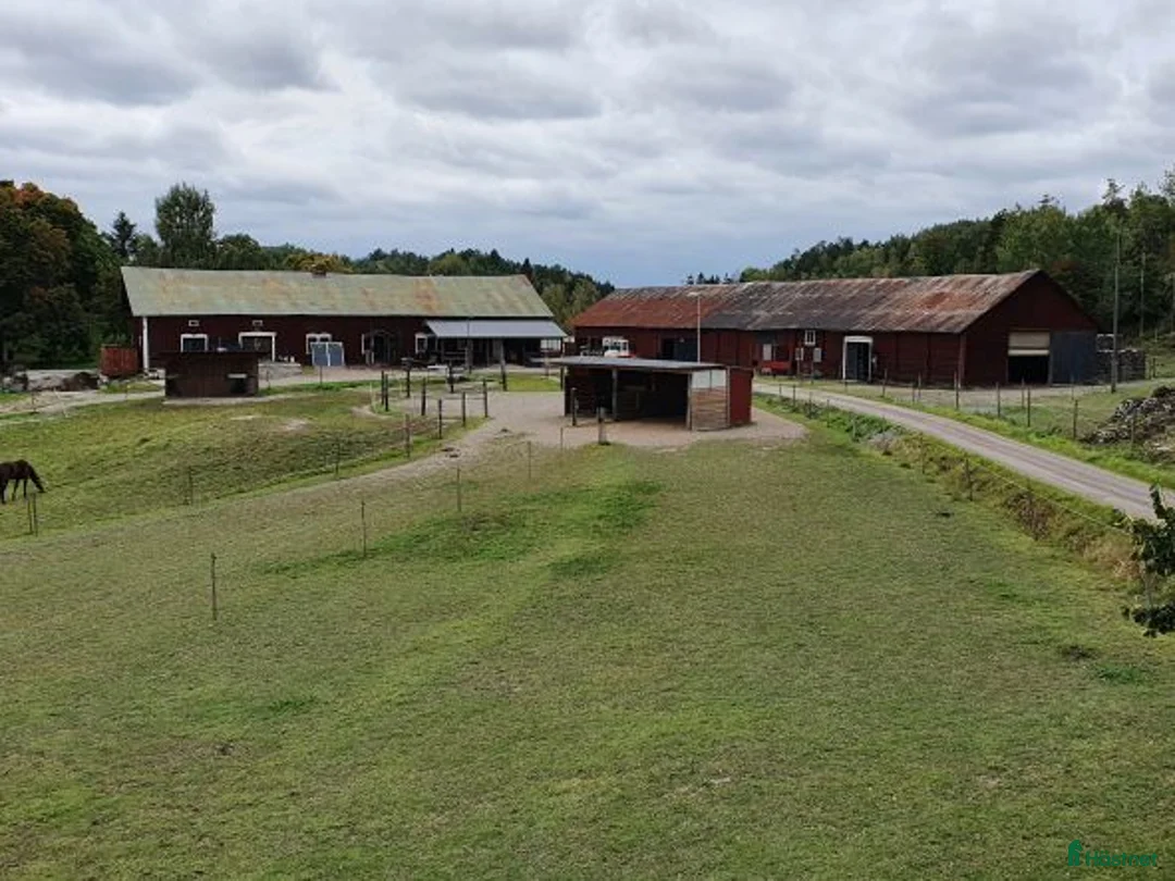  stallplats finnes: Lediga platser på Ytterstene Gård i Vagnhärad - Annons 5