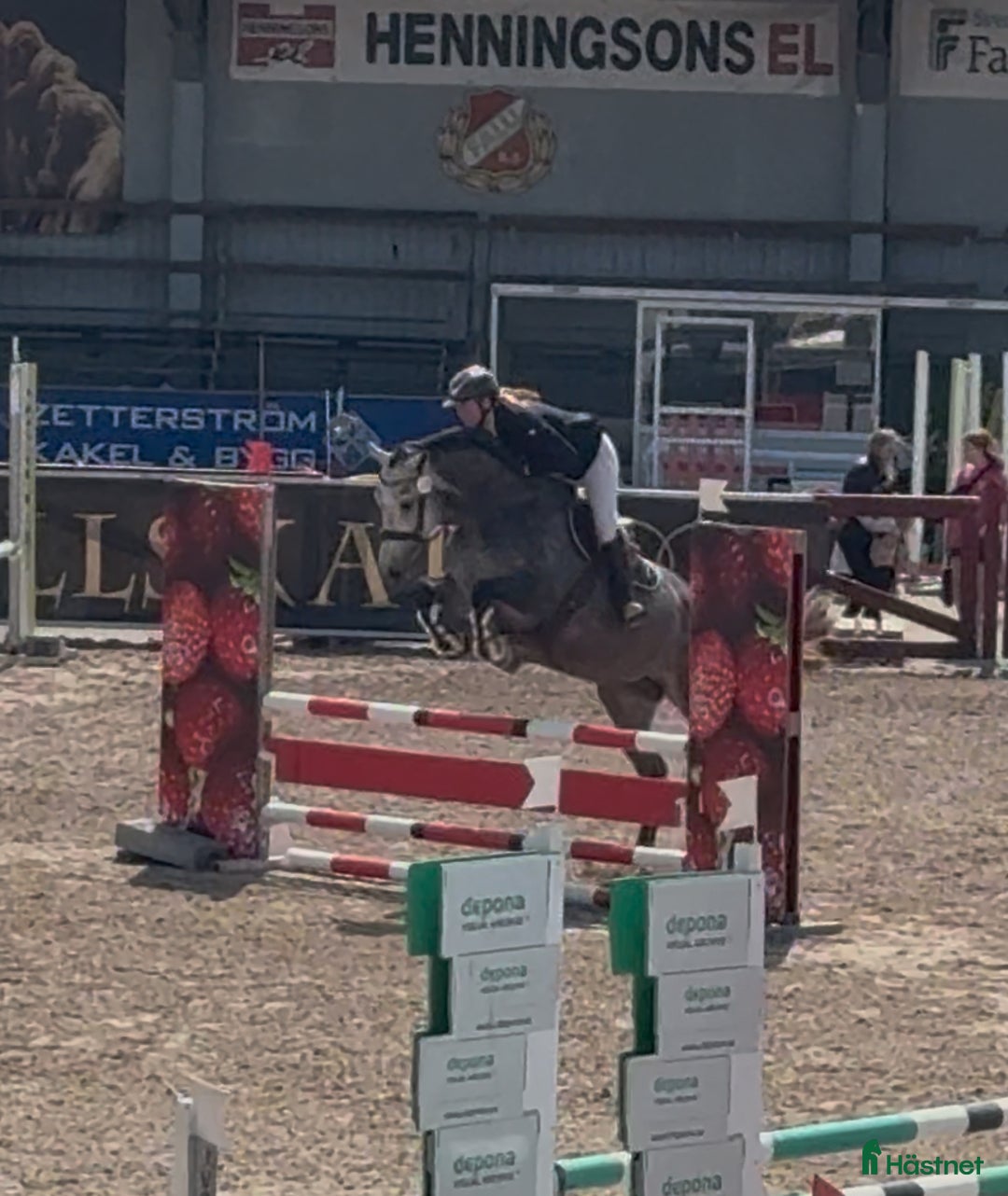 Allround hästar till salu: Hoppstammat sto med bra gångarter! - Annons 1