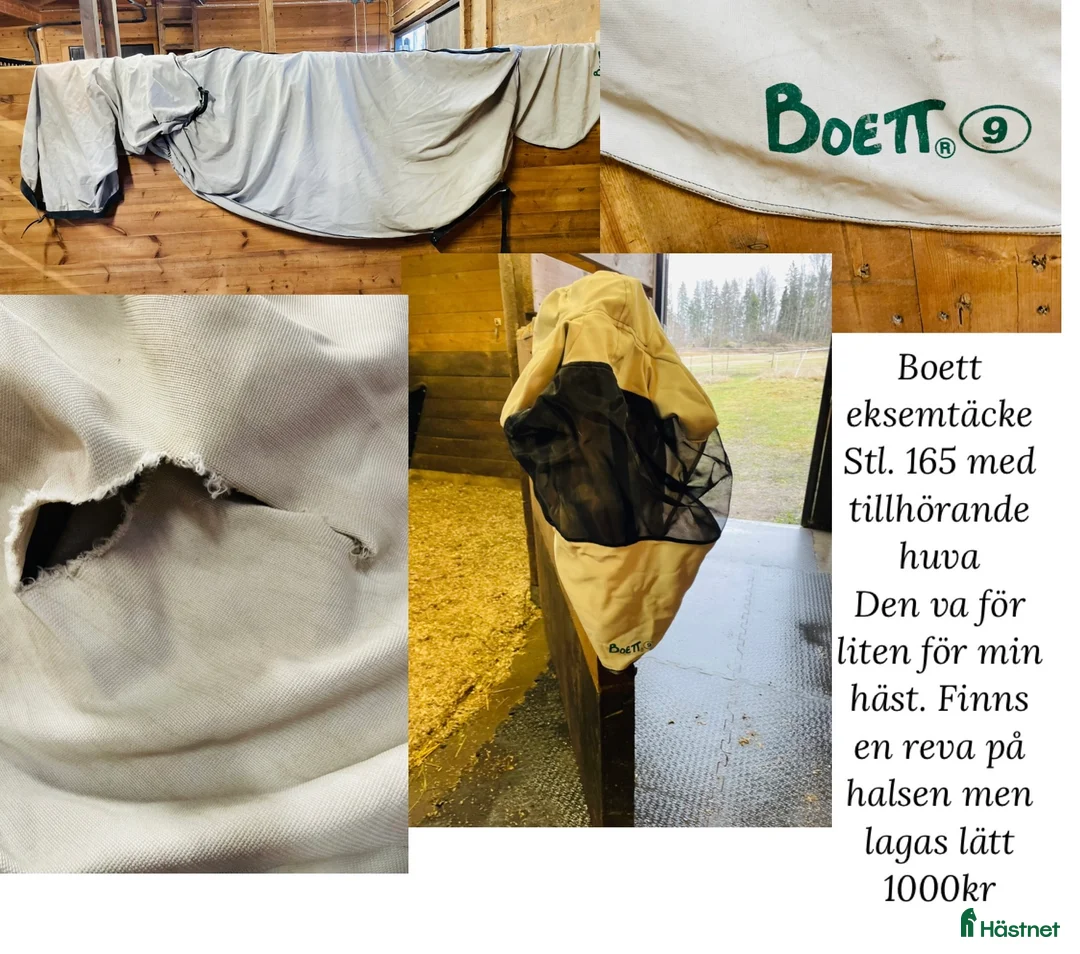 Övrig utrustning övrig utrustning till salu: Boett eksemtäcke och huva stl. 165 - Annons 1