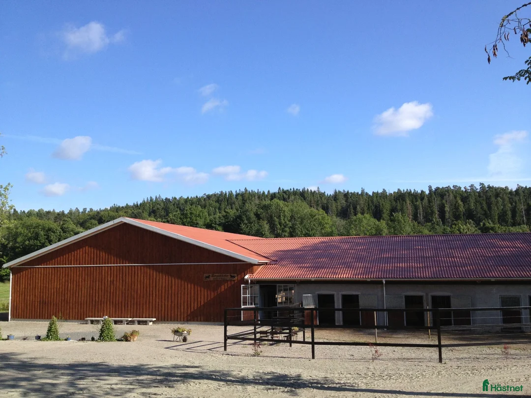  stallplats finnes: Lösdrift m alla faciliteter (Vargön) - Annons 1