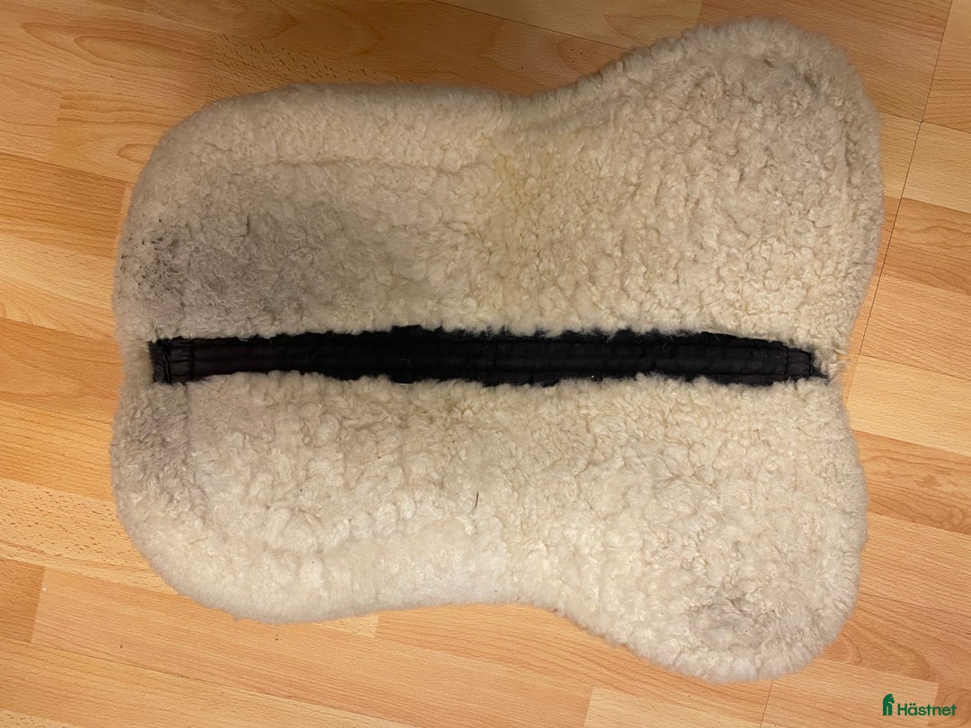 Sadeltillbehör hästutrustning till salu: Fårskinnspadd strl M i Lysekil - Annons 3