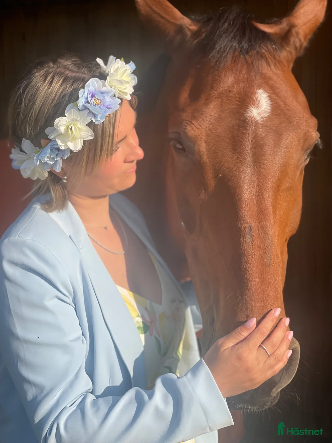  foderhäst sökes: FODERHÄST SÖKES- långsiktigt hem&mycket kärlek🐴 - Annons 1