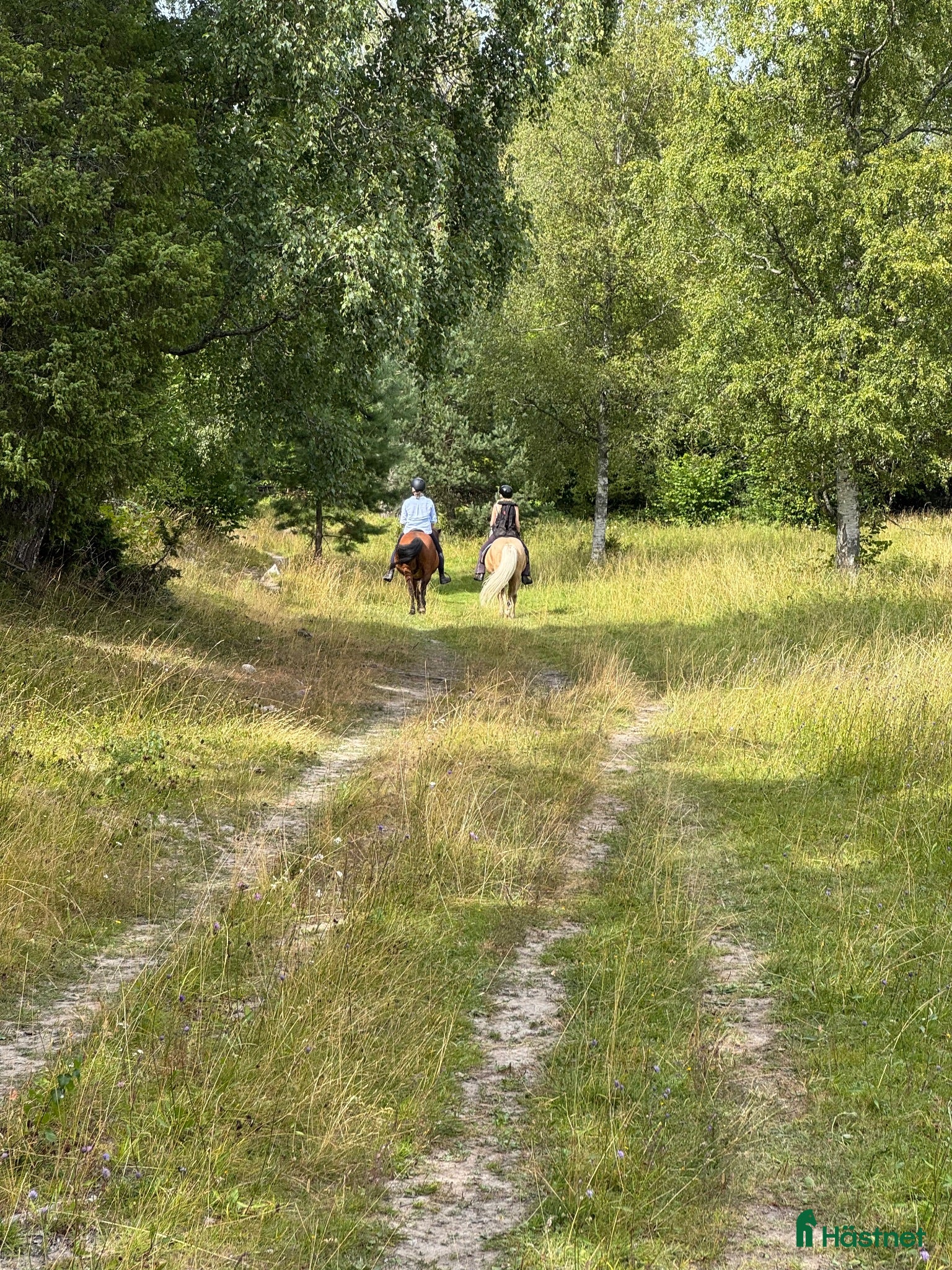  stallplats LÖSDRIFT, NATUR & GEMENSKAP NÄRA STOCKHOLM - Annons 14