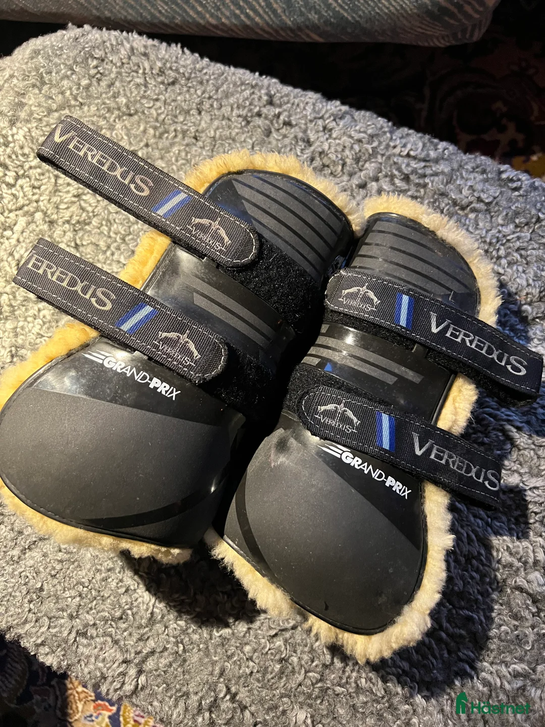 Benskydd hästutrustning till salu: Veredus Grand Prix i Västerås - Annons 1