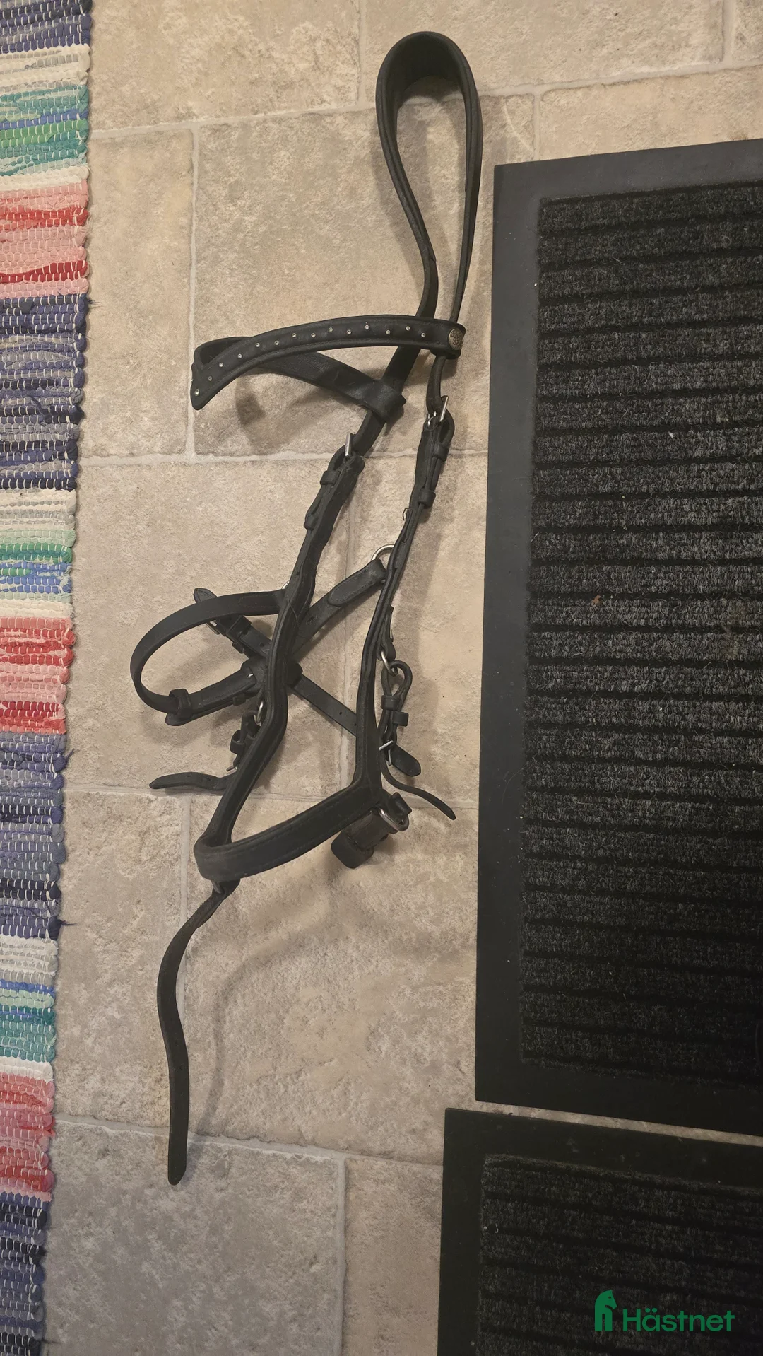 Träns hästutrustning till salu: Träns - Annons 3