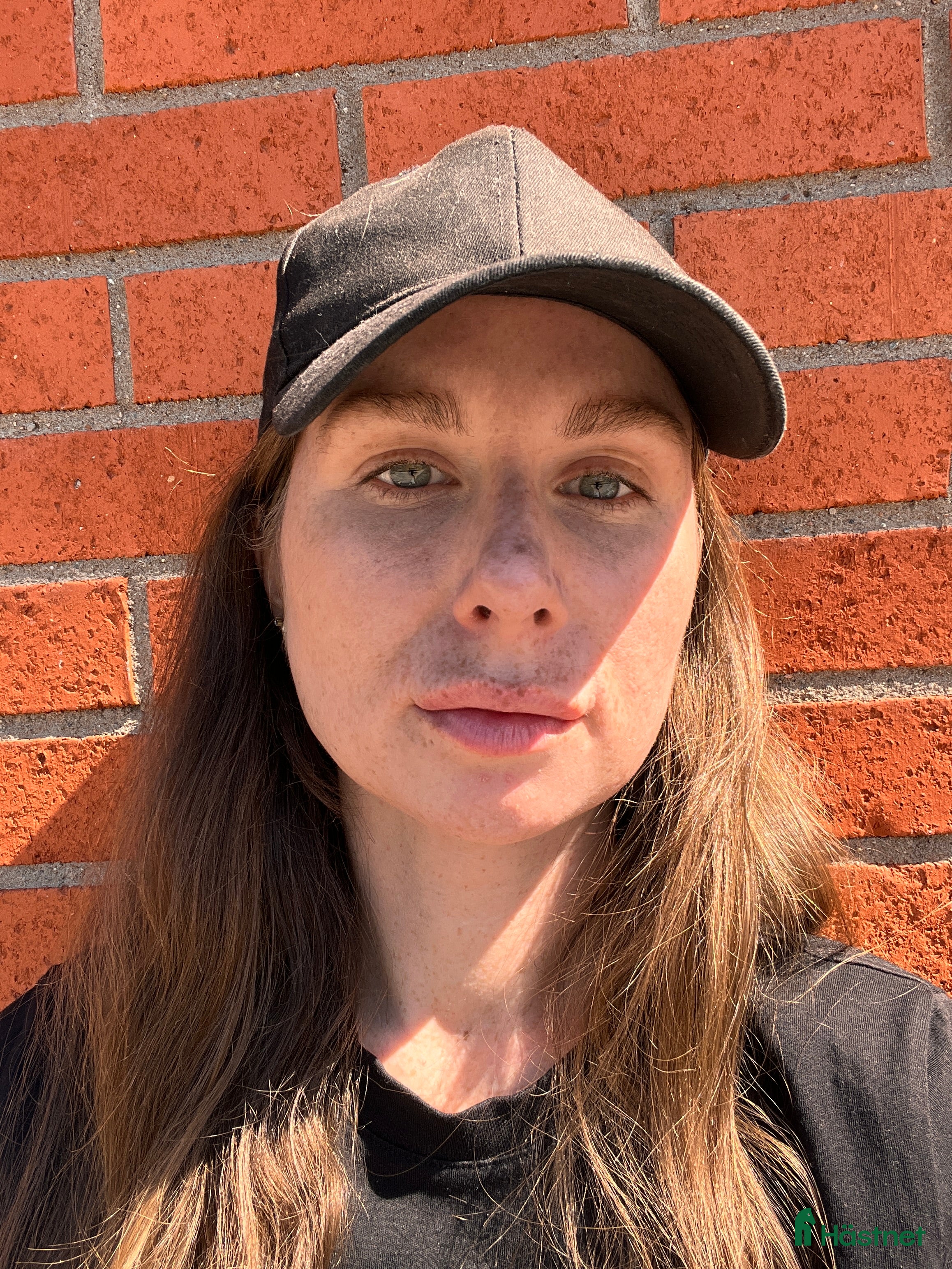  medryttarhäst sökes: Medryttarhäst sökes i Hässelby - Annons 19