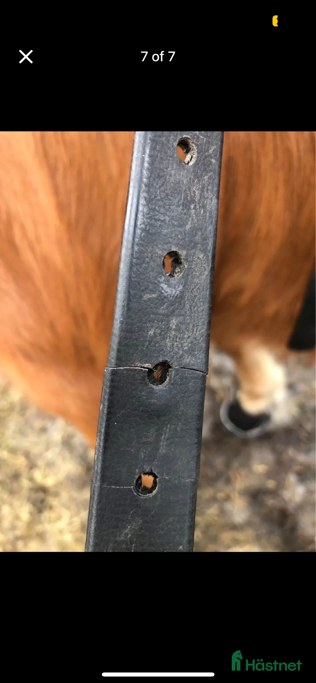 Sadlar hästutrustning till salu: Sadel wintec i Gustavsberg - Annons 7