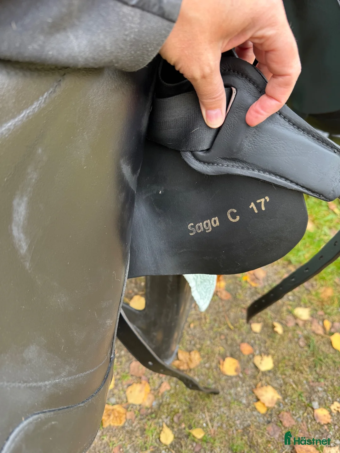 Sadlar hästutrustning till salu: Töltrider Saga - Annons 5