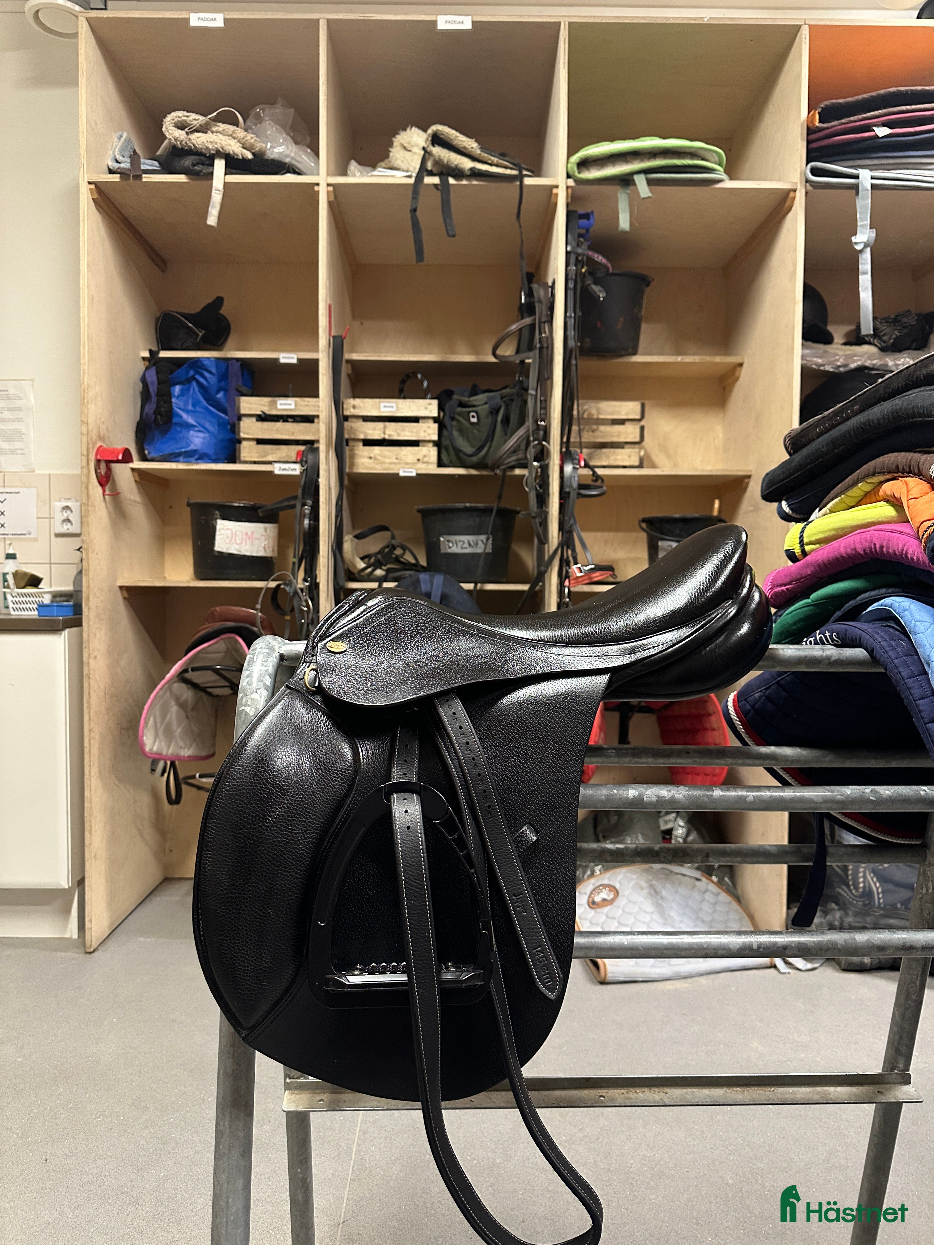 Sadlar hästutrustning till salu: Globus Esperanza i Bengtsfors - Annons 5