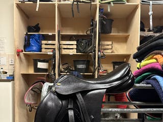 Sadlar hästutrustning till salu: Globus Esperanza i Bengtsfors - Annons 5