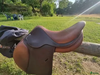 Sadlar hästutrustning Antares - Annons 1