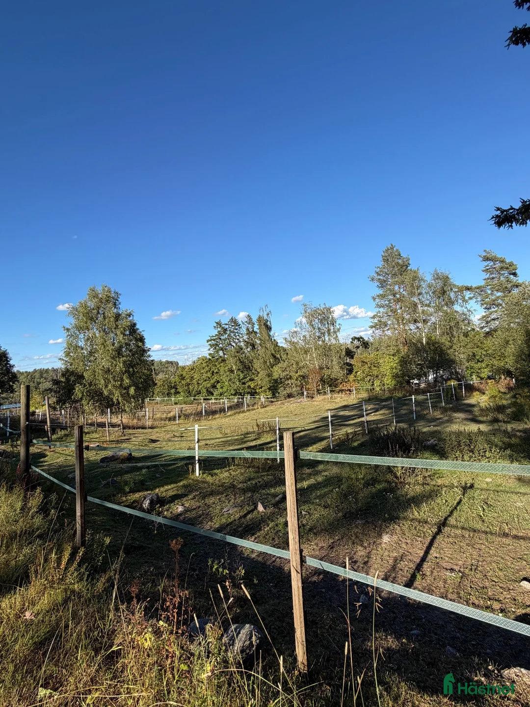  stallplats finnes: Stallplats och hästhotell på Lillegården - Annons 4