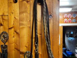 Övrig Hästutrustning hästutrustning till salu i Kvicksund - Annons 3