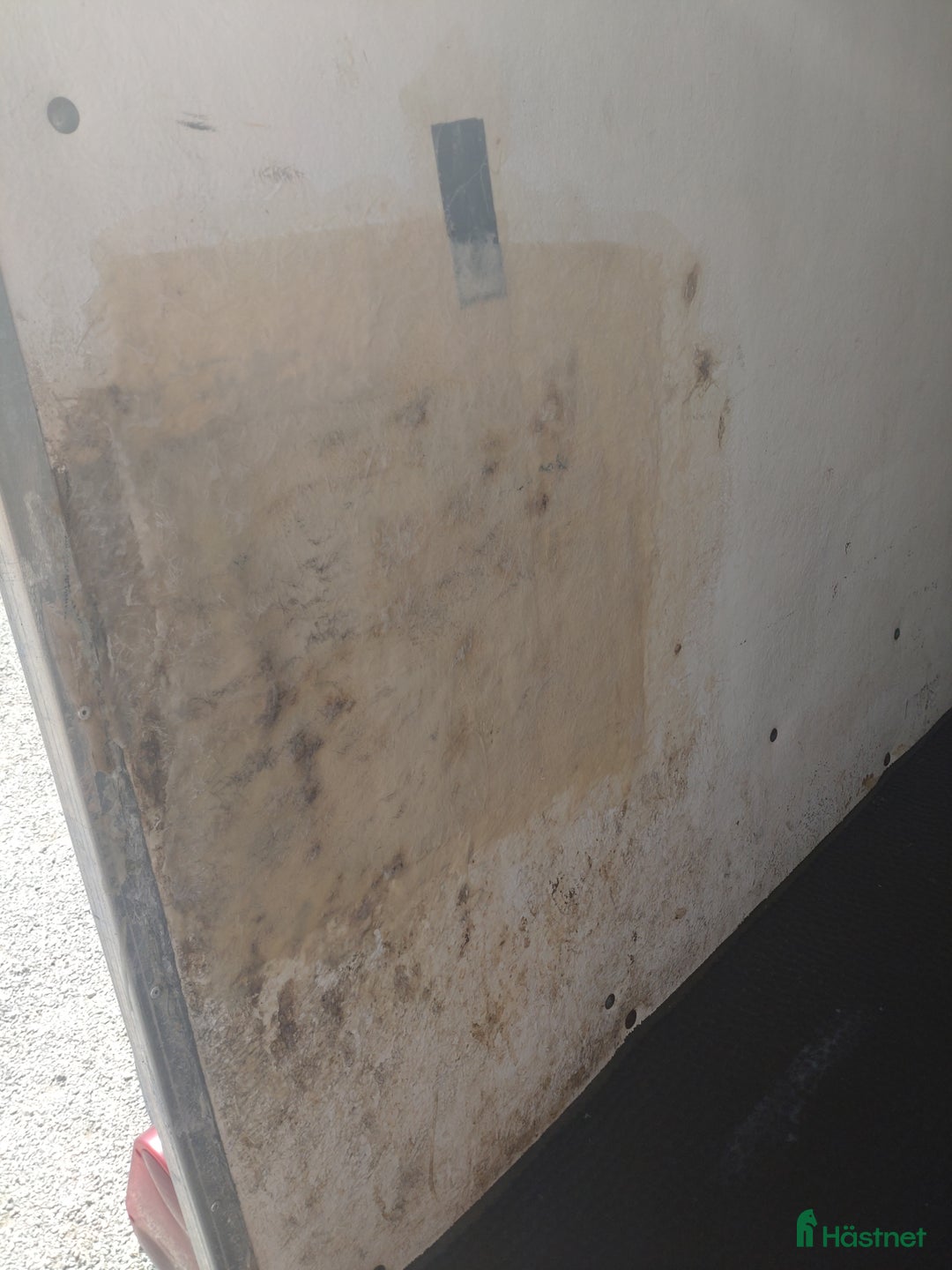 Hästtransporter  fordon & transport till salu: RAUSCH ELITE XL (besiktigad till 2026-04-30) i Järna - Annons 9