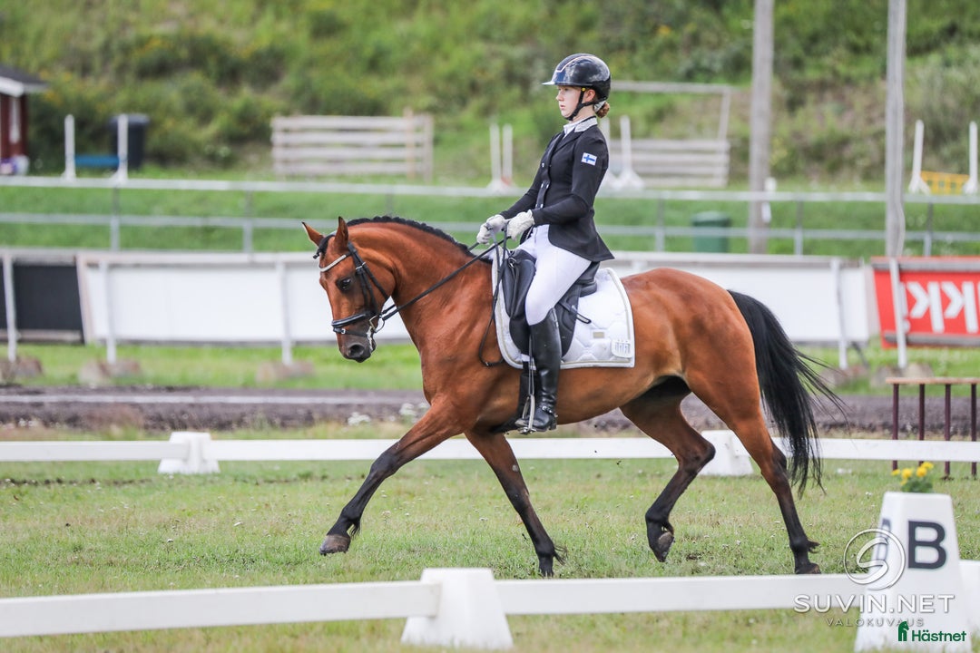 Dressyr hästar till salu: Fei pony for sale i Metsäkulma - Annons 3