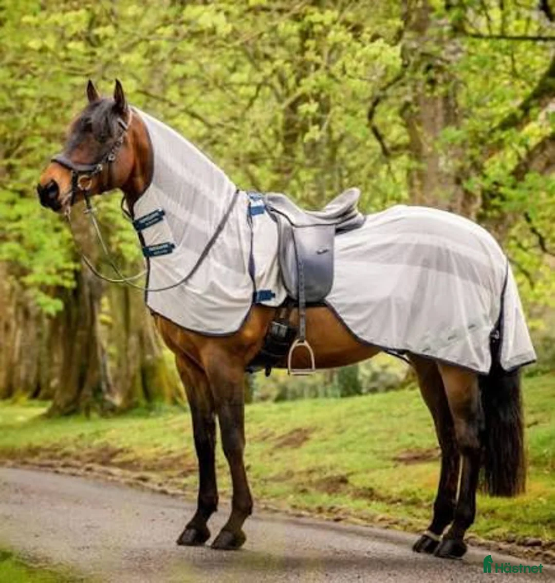 Täcken hästutrustning till salu: Amigo flyrider - Annons 1