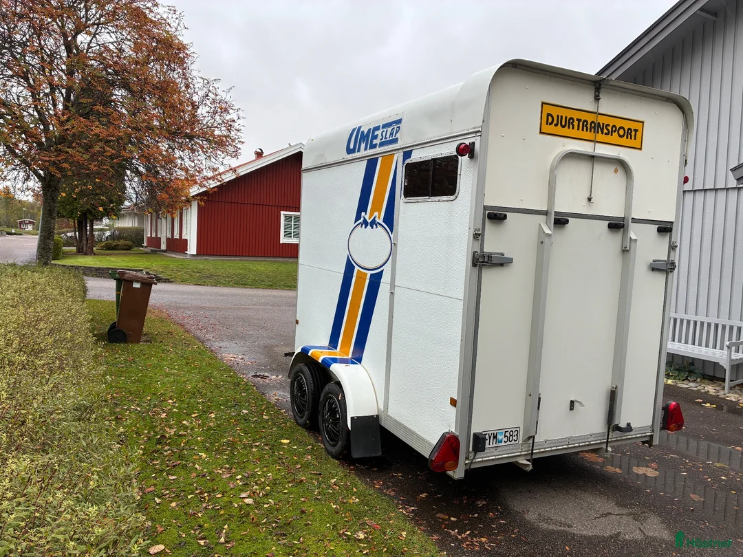 Hästtransporter  fordon & transport till salu: Umesläp B50 - Annons 2