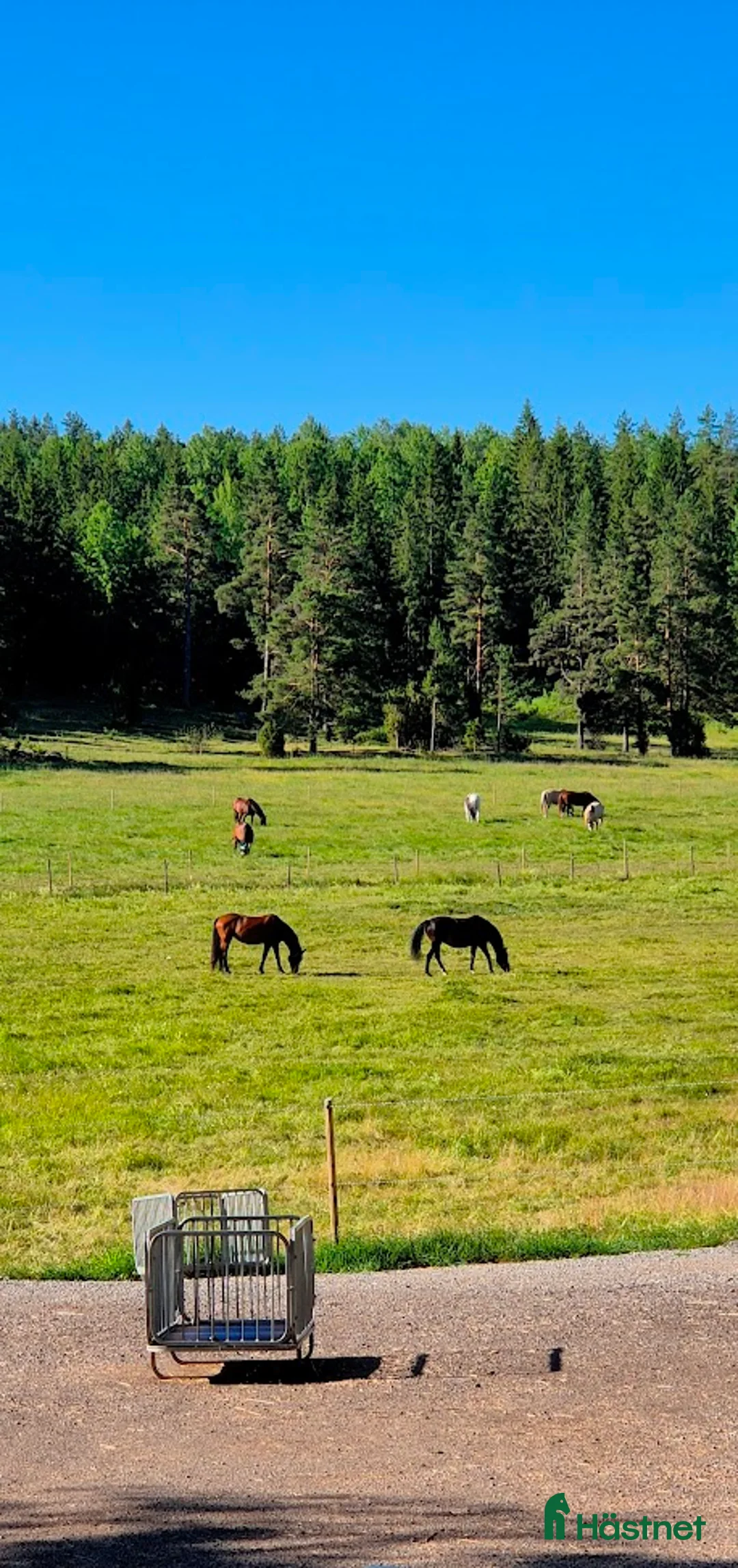 stallplats finnes: Lösdrift i Tullinge i Tullinge - Annons 5