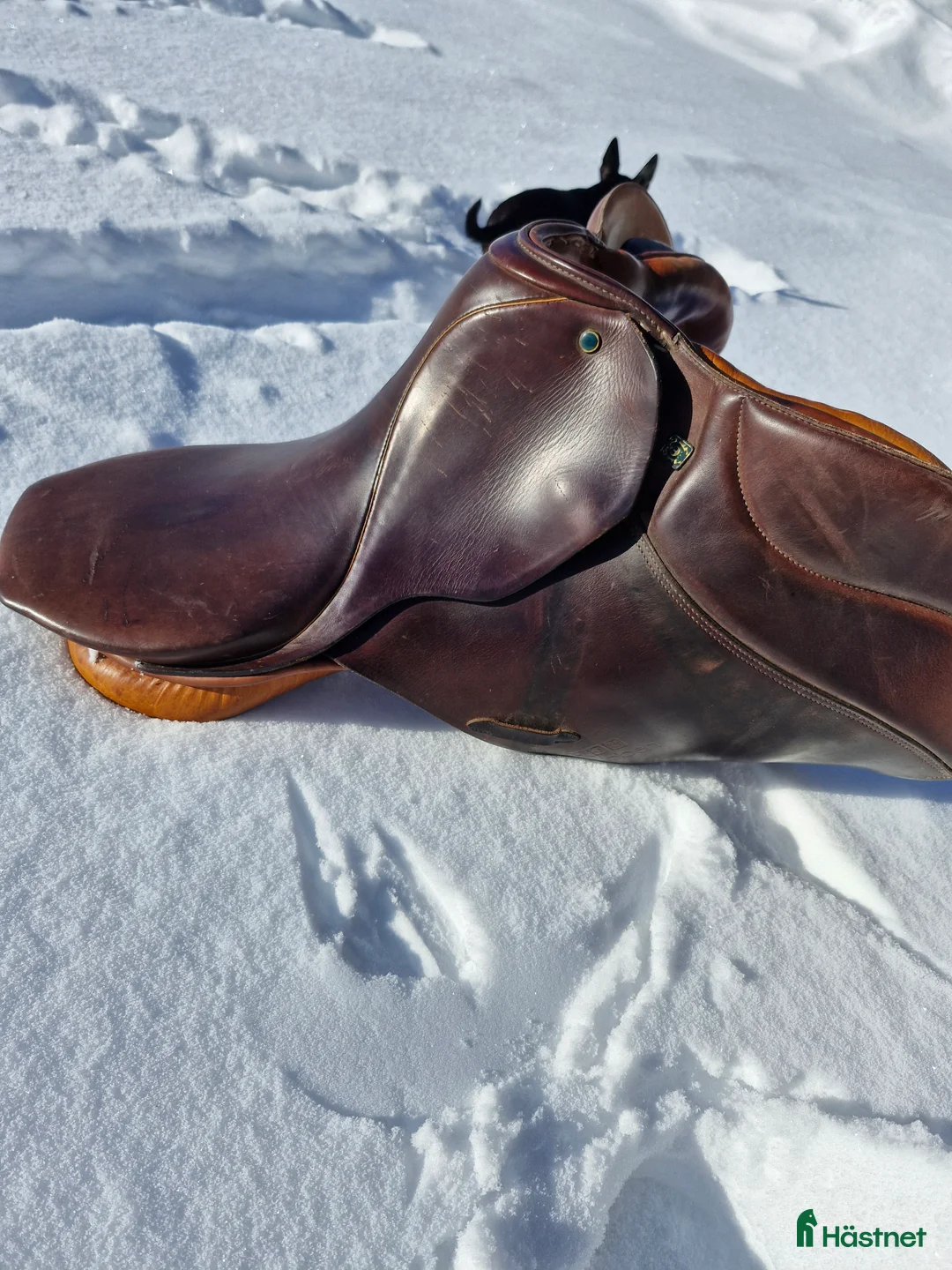 Sadlar hästutrustning till salu: Hoppsadel i Oviken - Annons 1