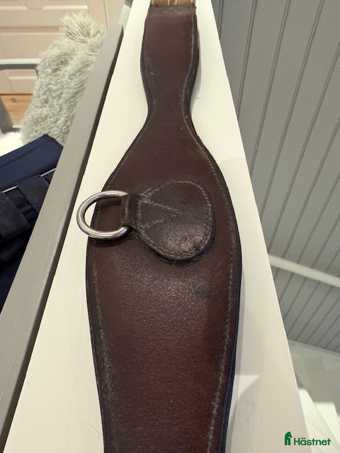 Sadeltillbehör hästutrustning till salu: Brun sadelgjord - Annons 1