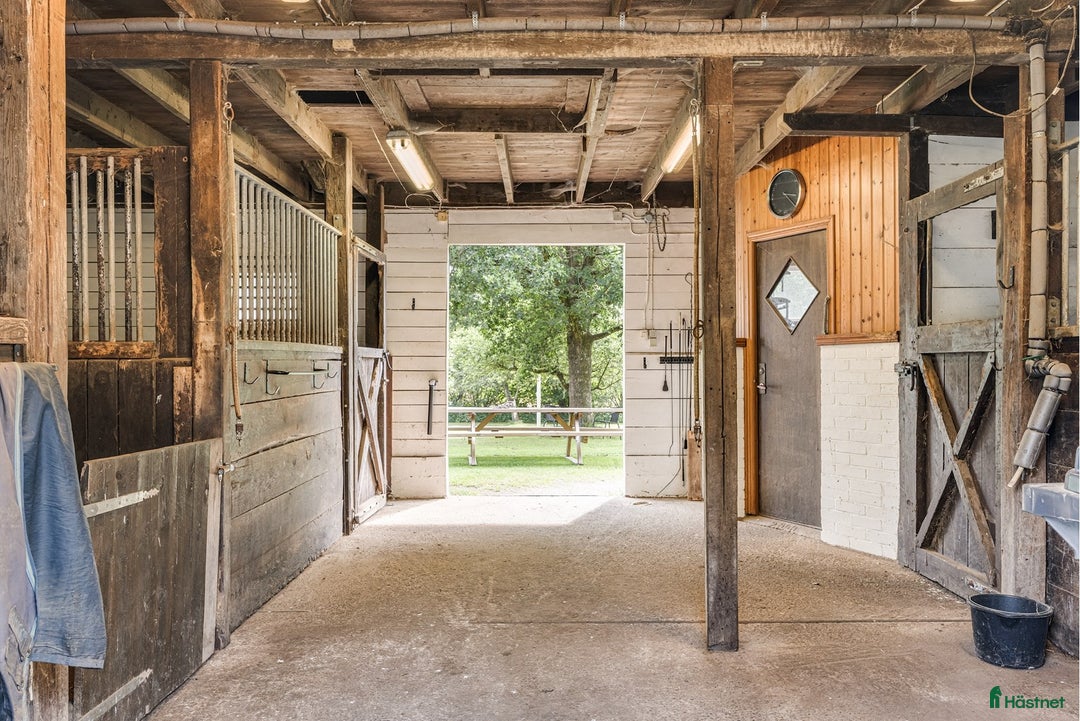  hästgårdar till salu: Hästgård utanför Ljungbyhed i Ljungbyhed - Annons 4