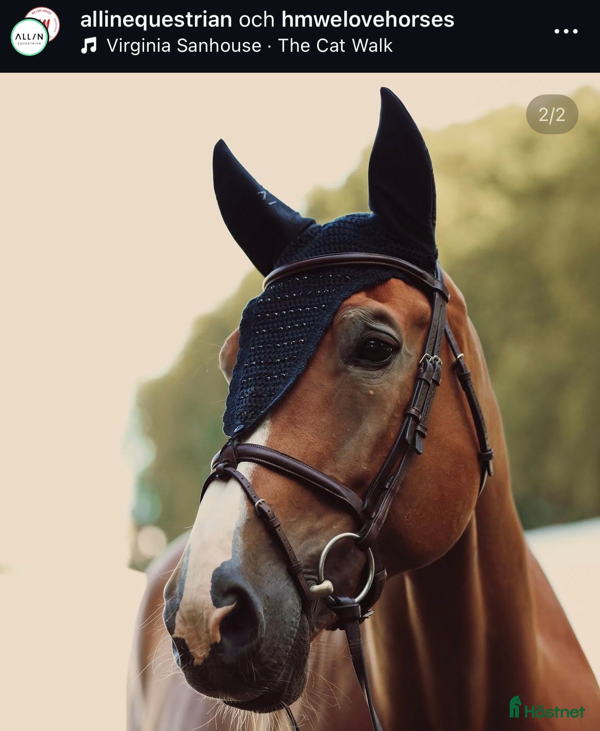 Övrig Hästutrustning hästutrustning till salu: Svart lång huva med strass från All Inn. Stl full i Värmdö - Annons 1